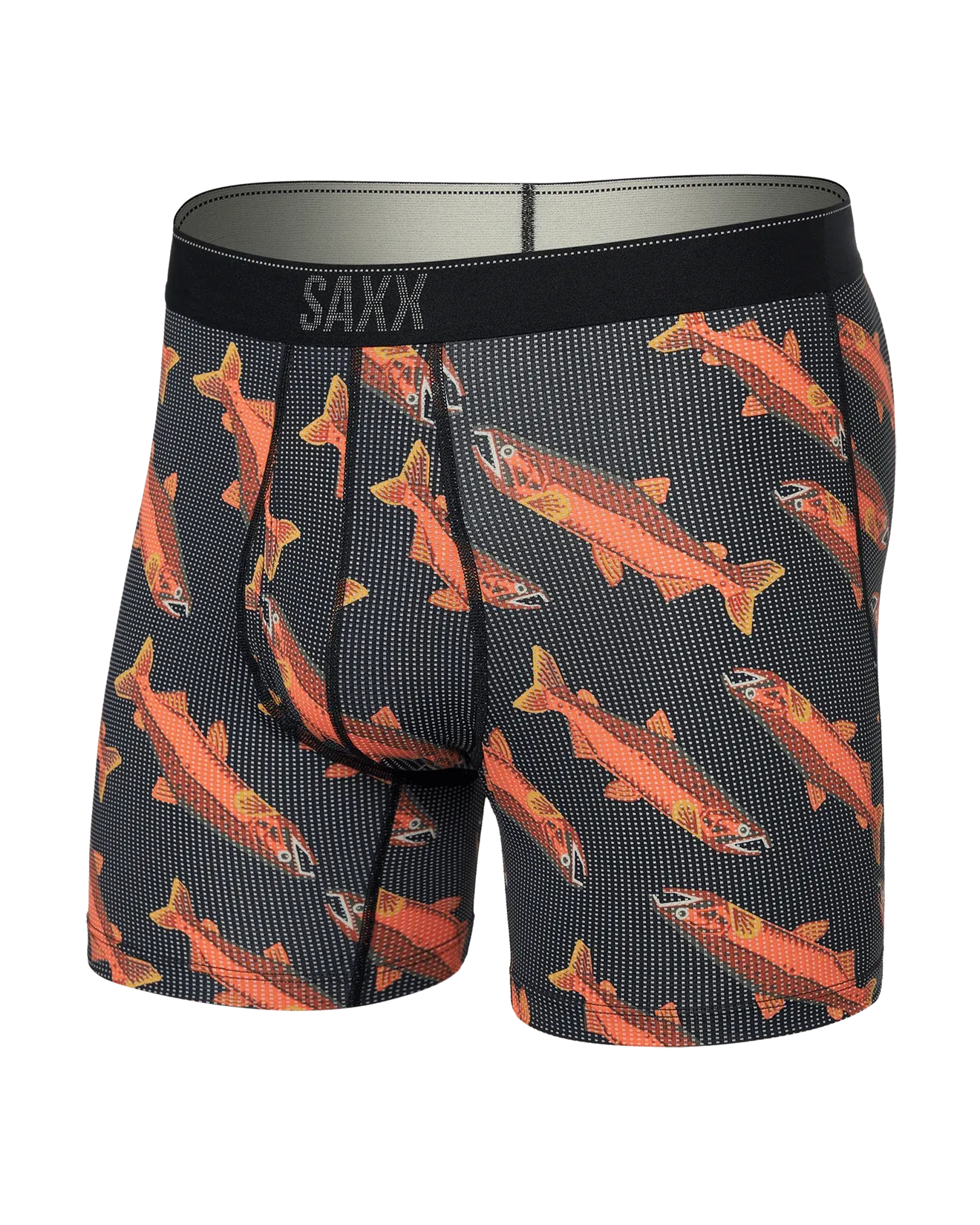 Boxer Quest COHO-BLACK