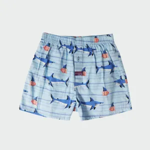 Boy's Great White Pork Cotton Boxer Shorts - Blue