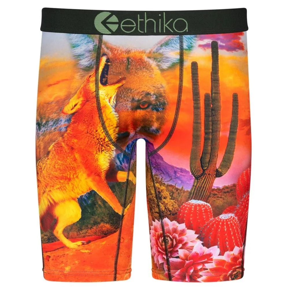 Ethika - Staple Undies (Mens) 1