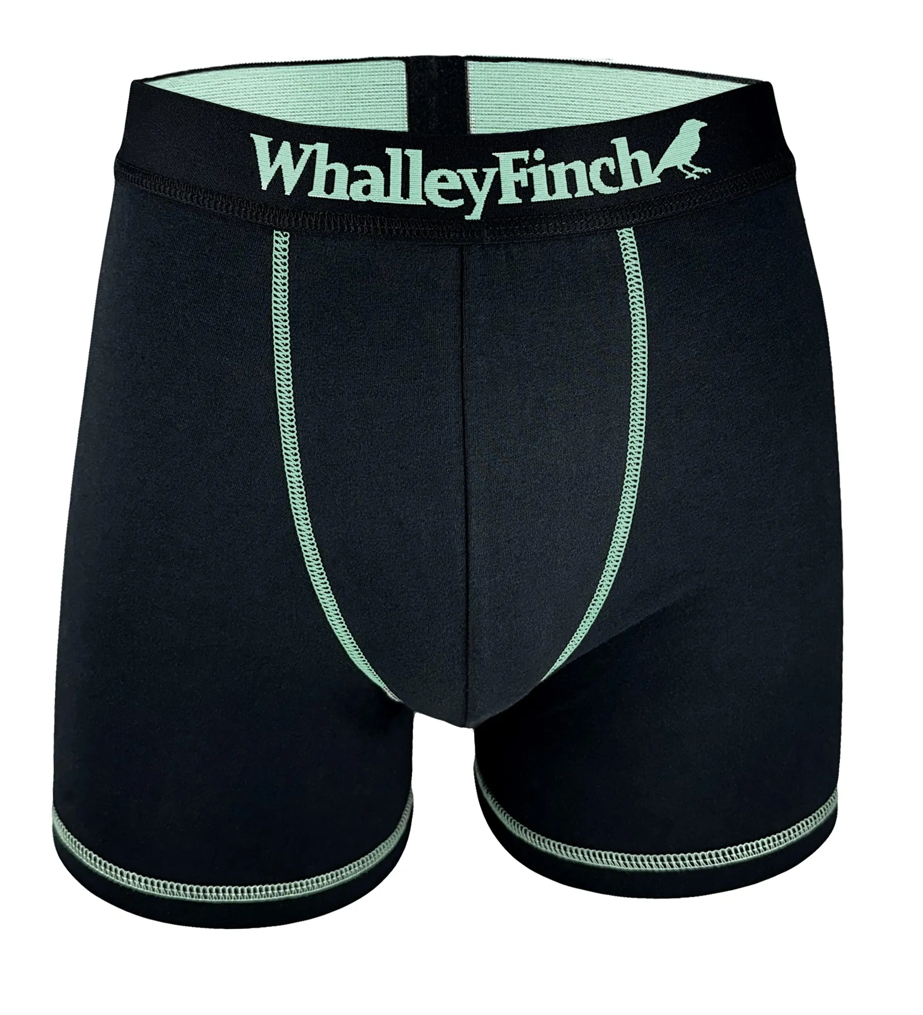 Everyday Vibe Black-Mint Boxer Brief