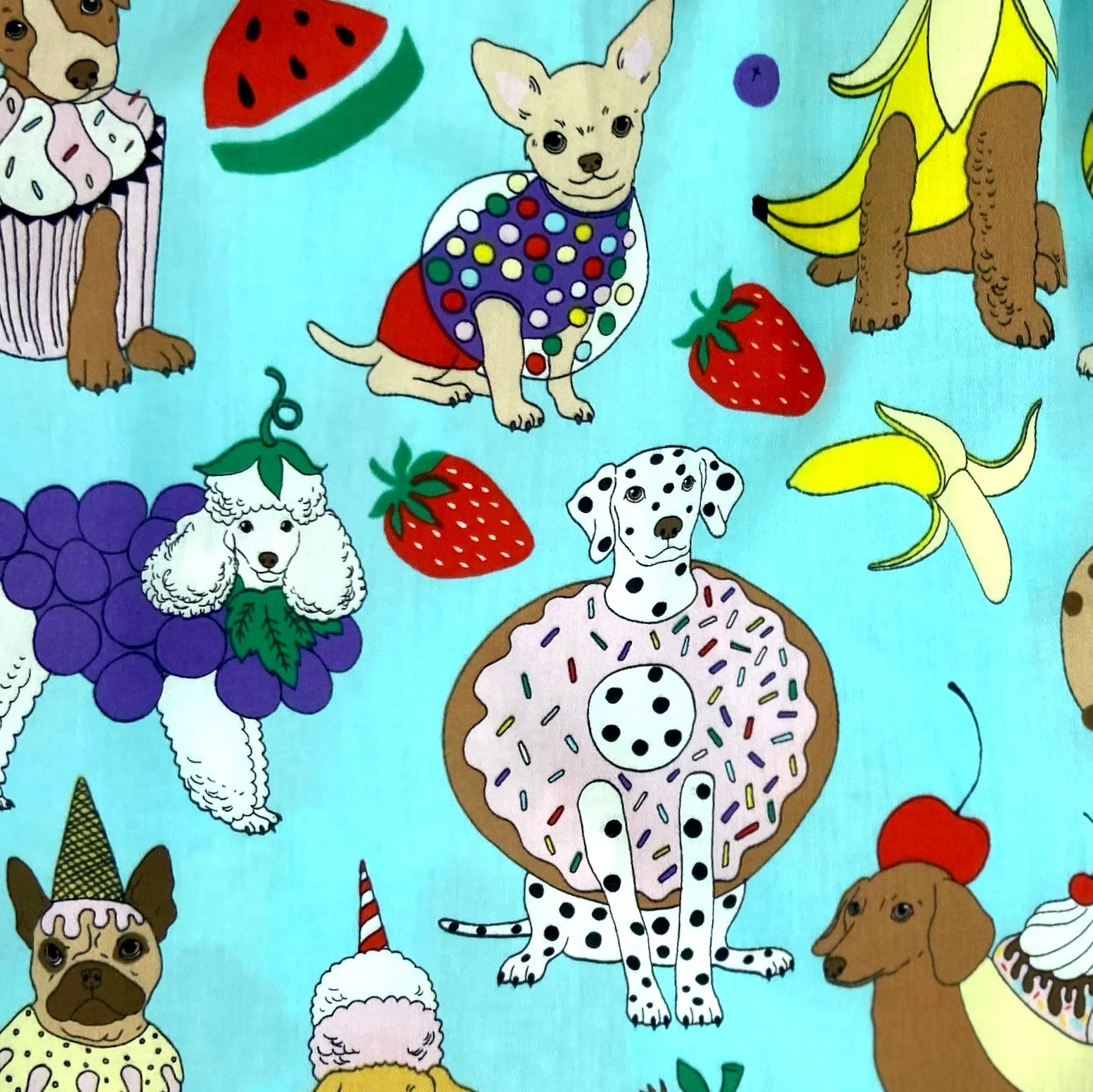 FIDO'S FRUITY FINERY