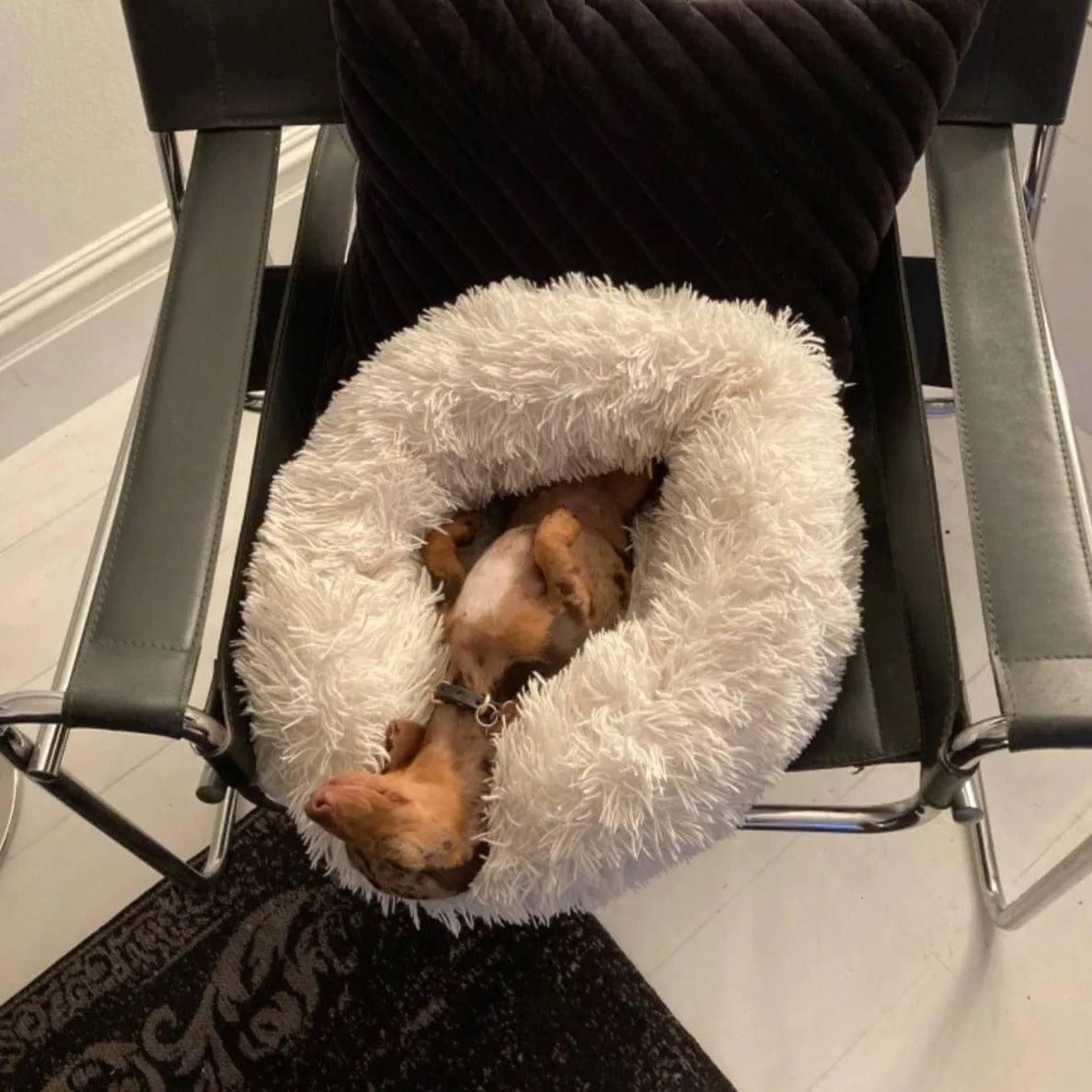 Fluffy Dachshund Bed