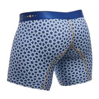 Male Basics Hipster Mid Thigh Boxer Brief Stellar Blue