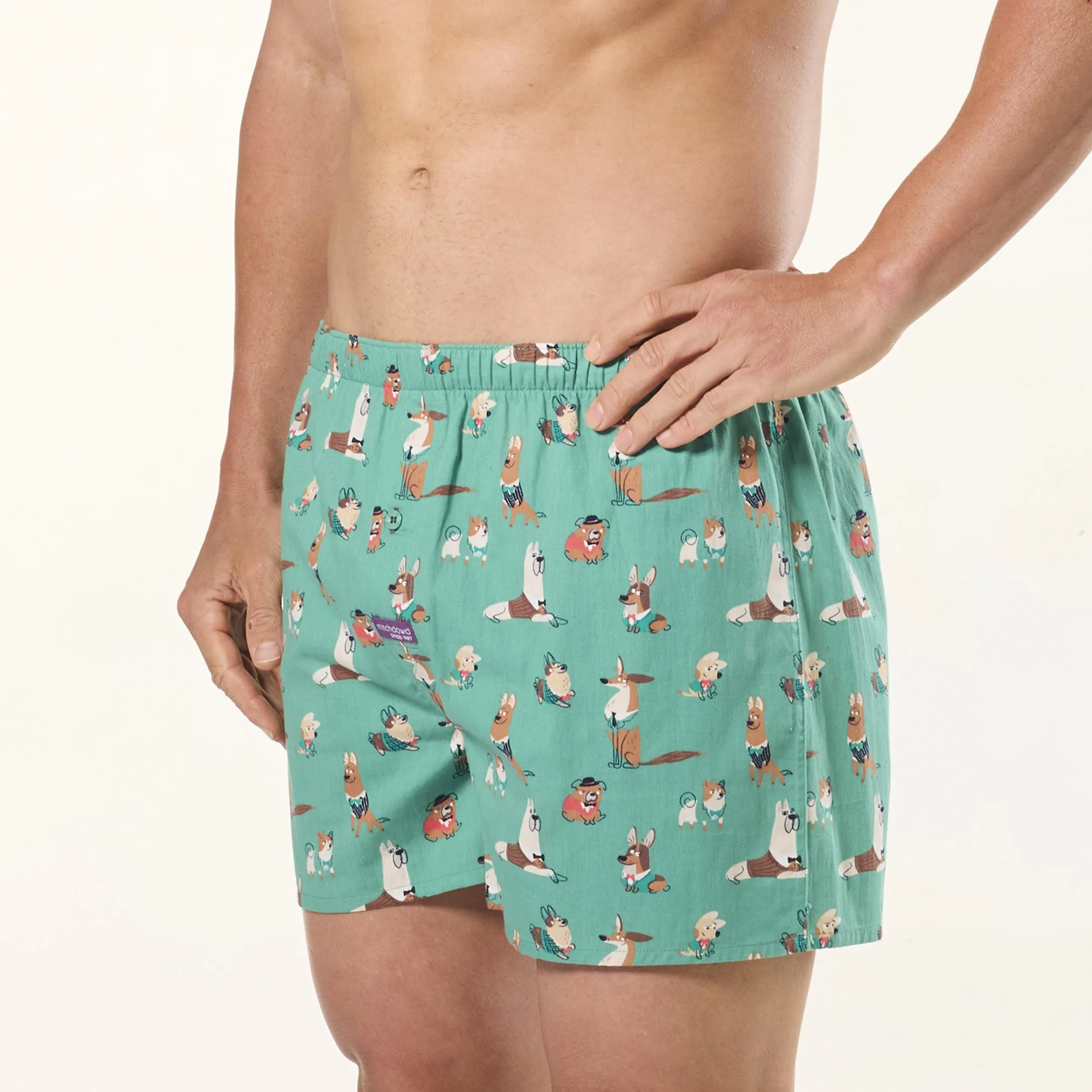 Men's How Much Is That Doggy Cotton Boxer Short 3 Pack - Green