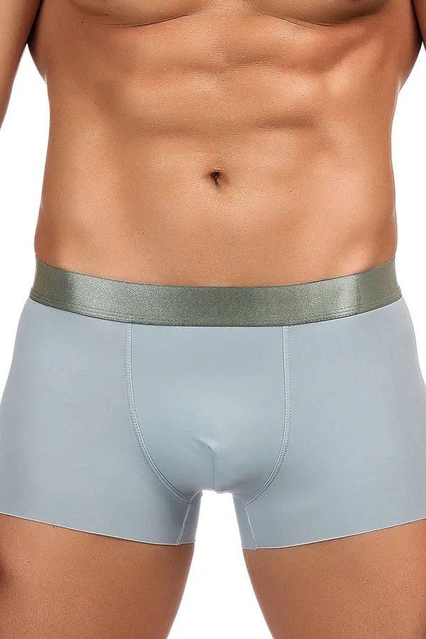 Men's Model Gray Boxer Brief