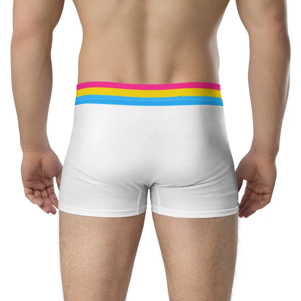 Pansexual Flag Trim Boxer Briefs