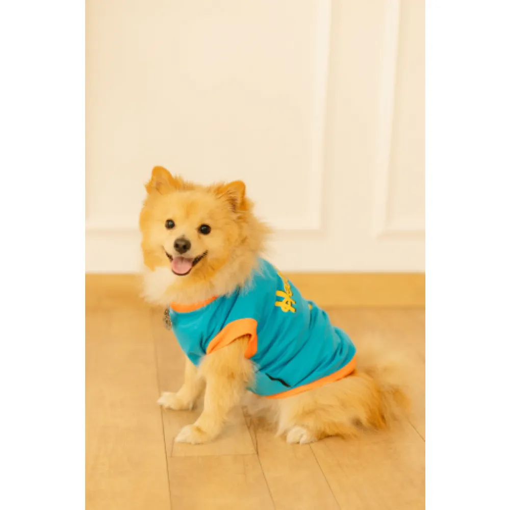 Pet Set Go Giraffe T-shirt for Dogs (Blue)