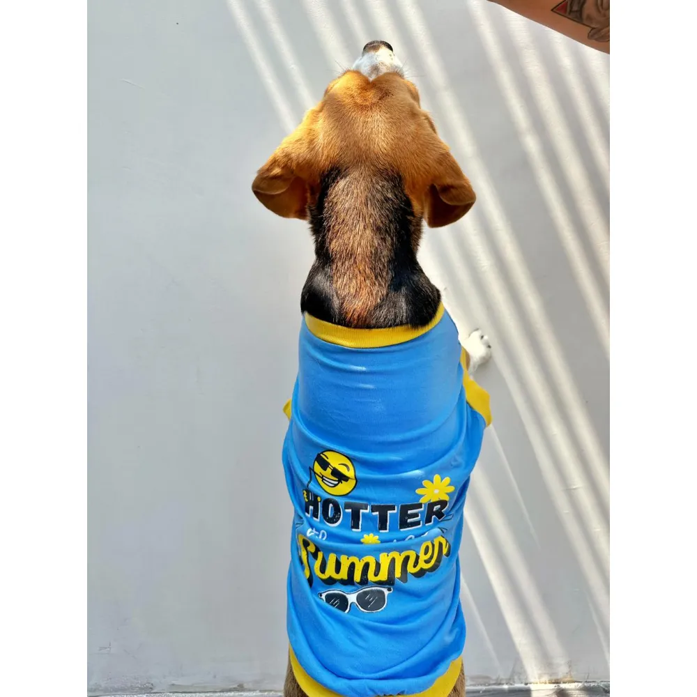 Pet Set Go Hotter Than The Summer Sleeveless T Shirt for Dog (Blue)