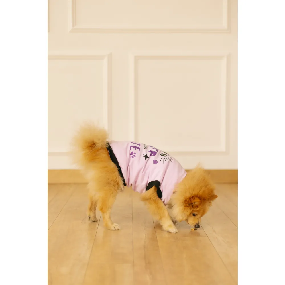 Pet Set Go Its Ruff Being This Cute T-Shirt for Dogs (Light Voilet)