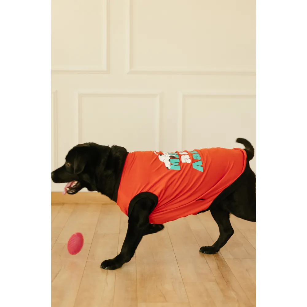 Pet Set Go Main Aur Aalsi T-shirt for Dog (Red)