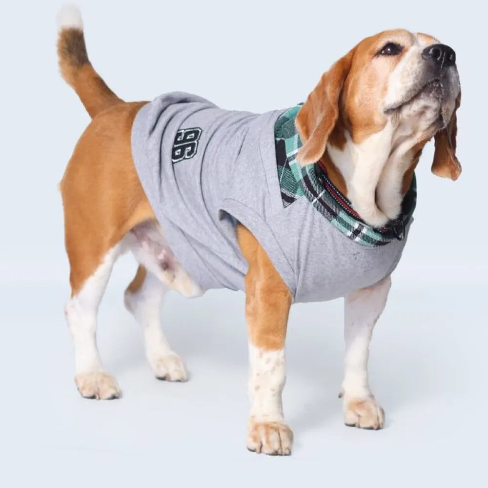 Pet Set Go Polo Knit Tshirt for Dogs (Grey)