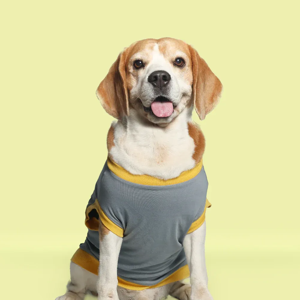 Pet Set Go Single Taken In Relationship Sleeveless Tshirt for Dogs (Grey)