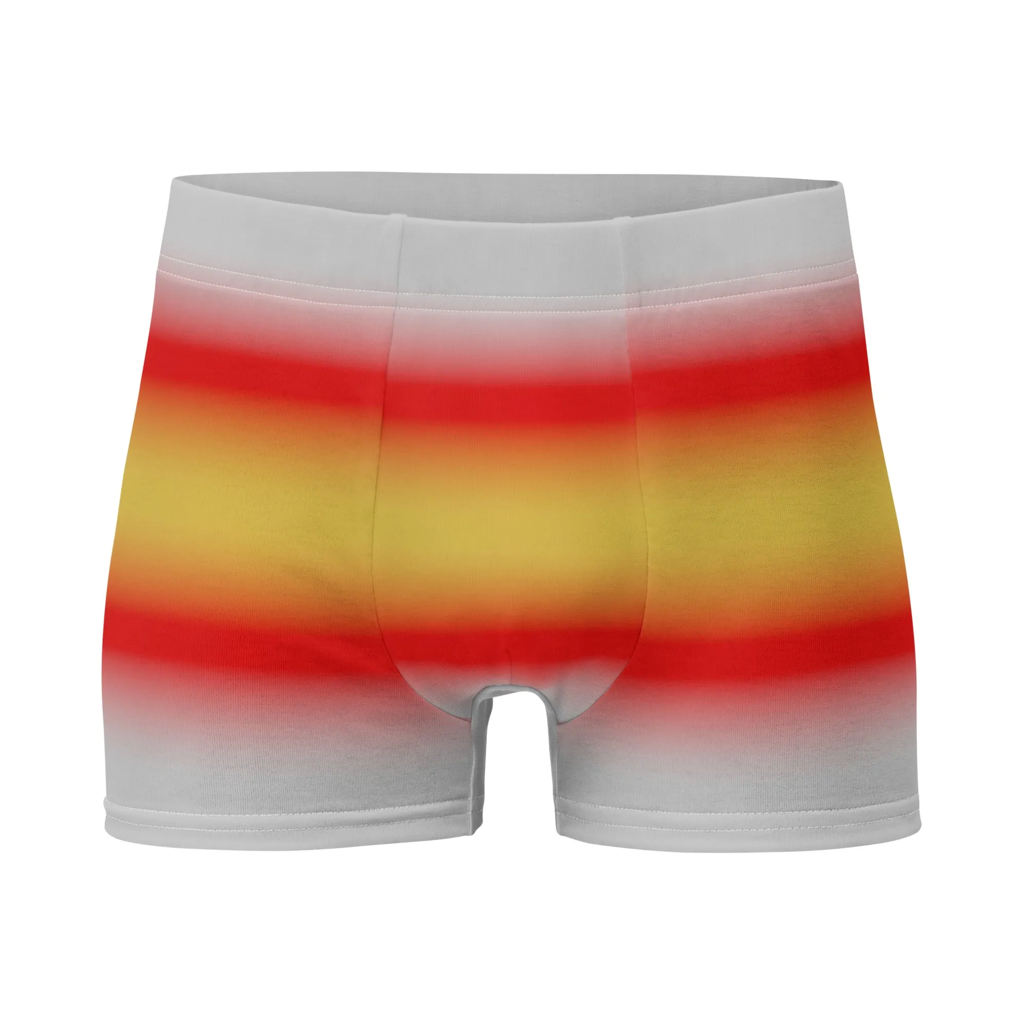 Proculsexual Pride Boxer Briefs Underwear in Ombre