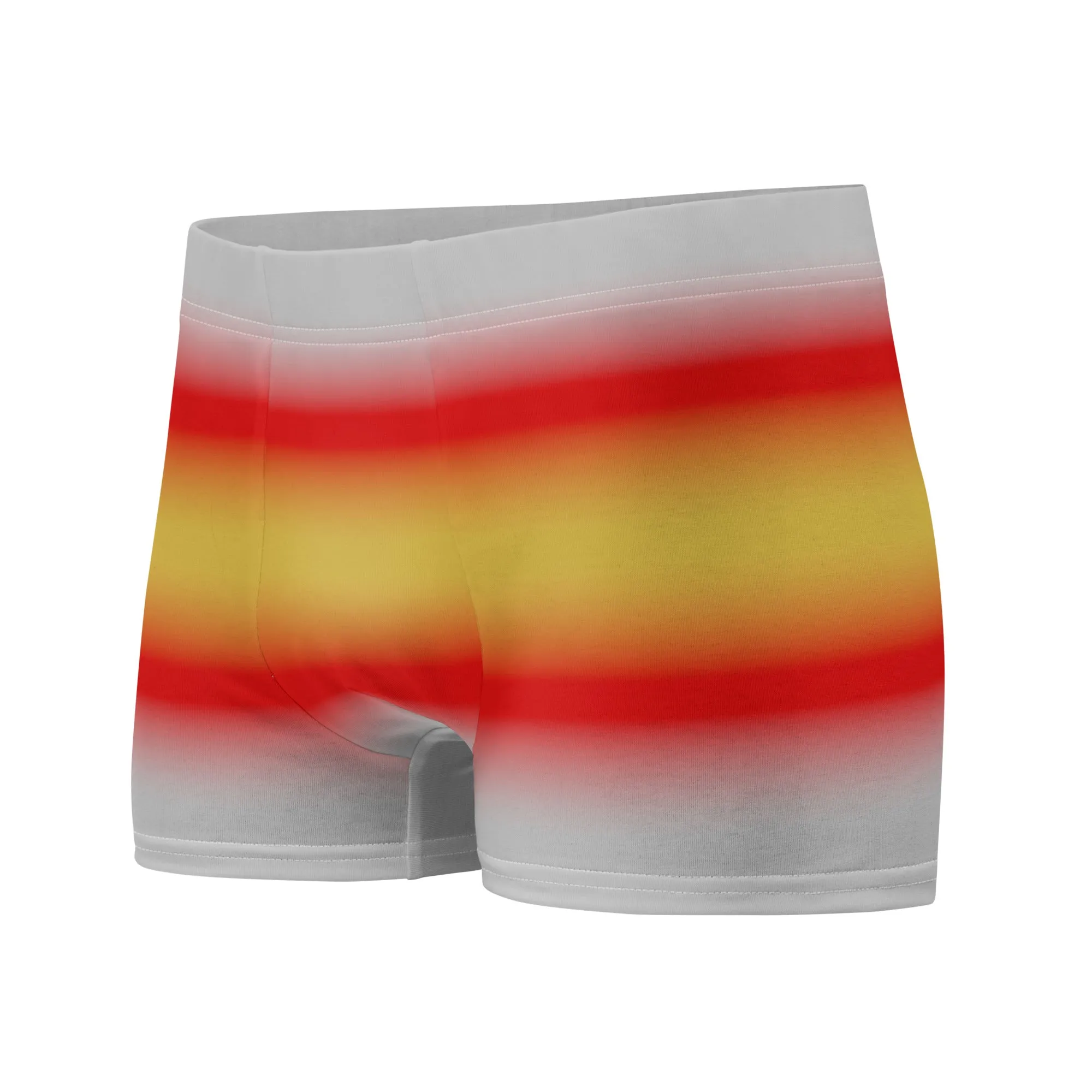 Proculsexual Pride Boxer Briefs Underwear in Ombre