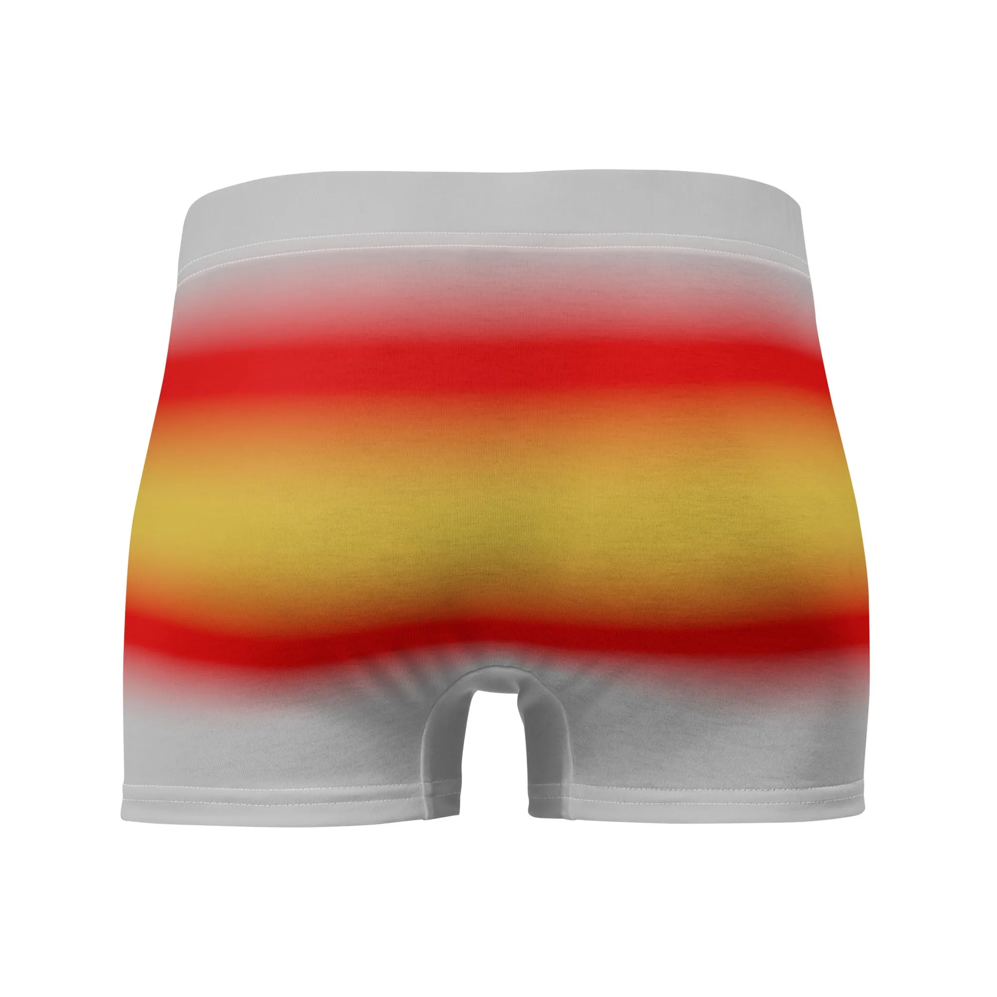 Proculsexual Pride Boxer Briefs Underwear in Ombre