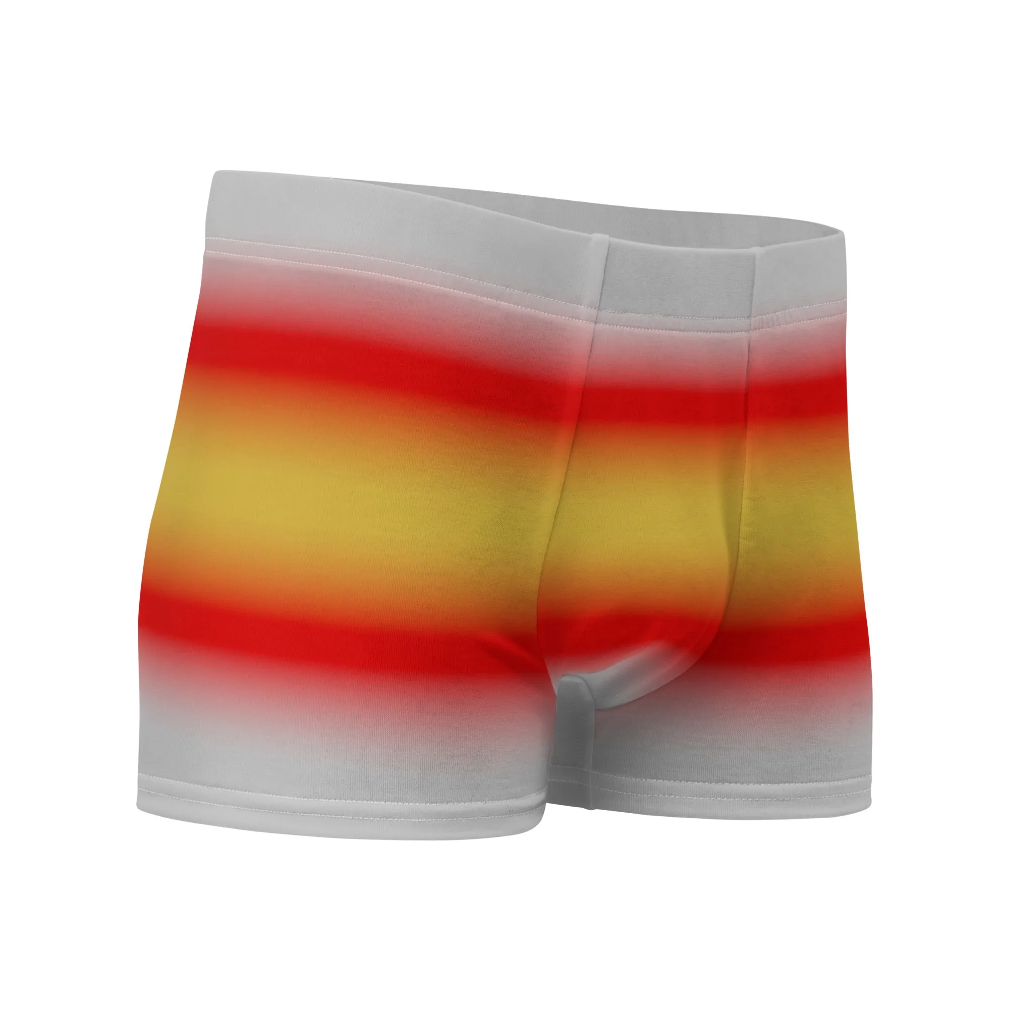 Proculsexual Pride Boxer Briefs Underwear in Ombre