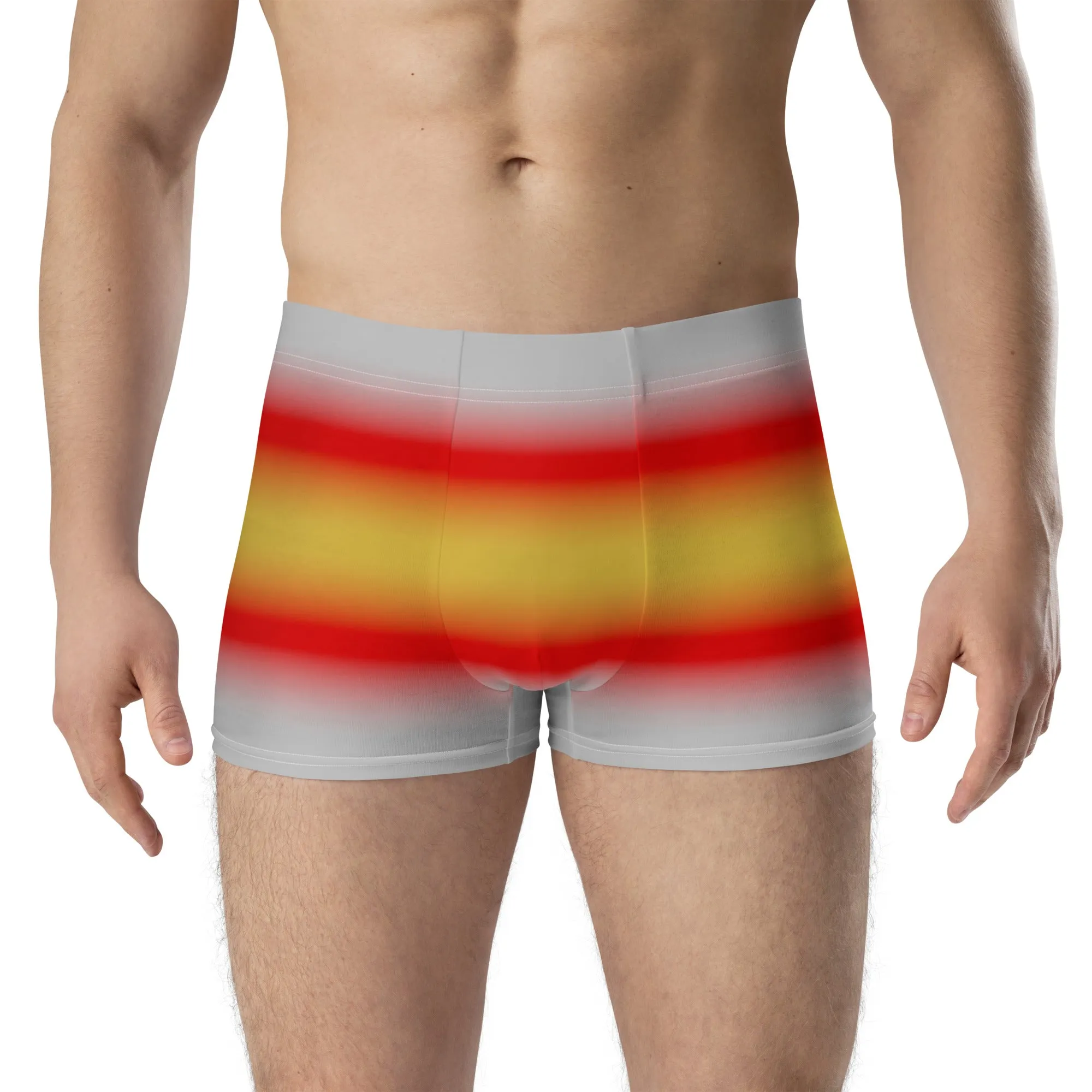 Proculsexual Pride Boxer Briefs Underwear in Ombre