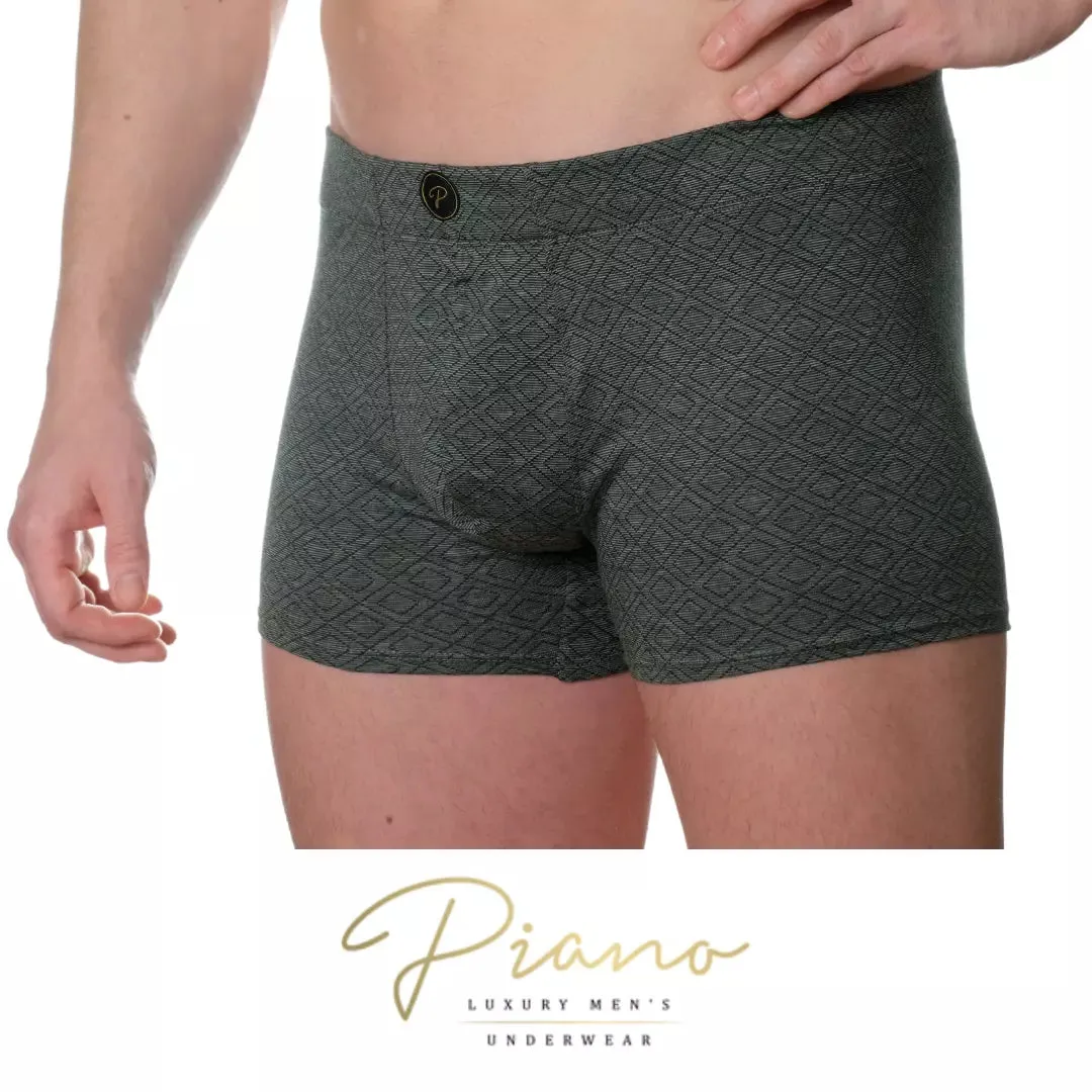 The President - boxer briefs