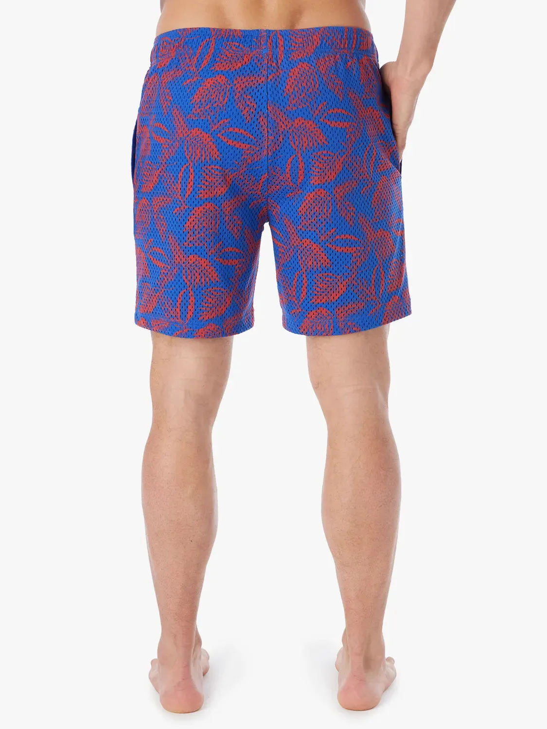 The Schooner Mesh Short | Cobalt Neon Leaves