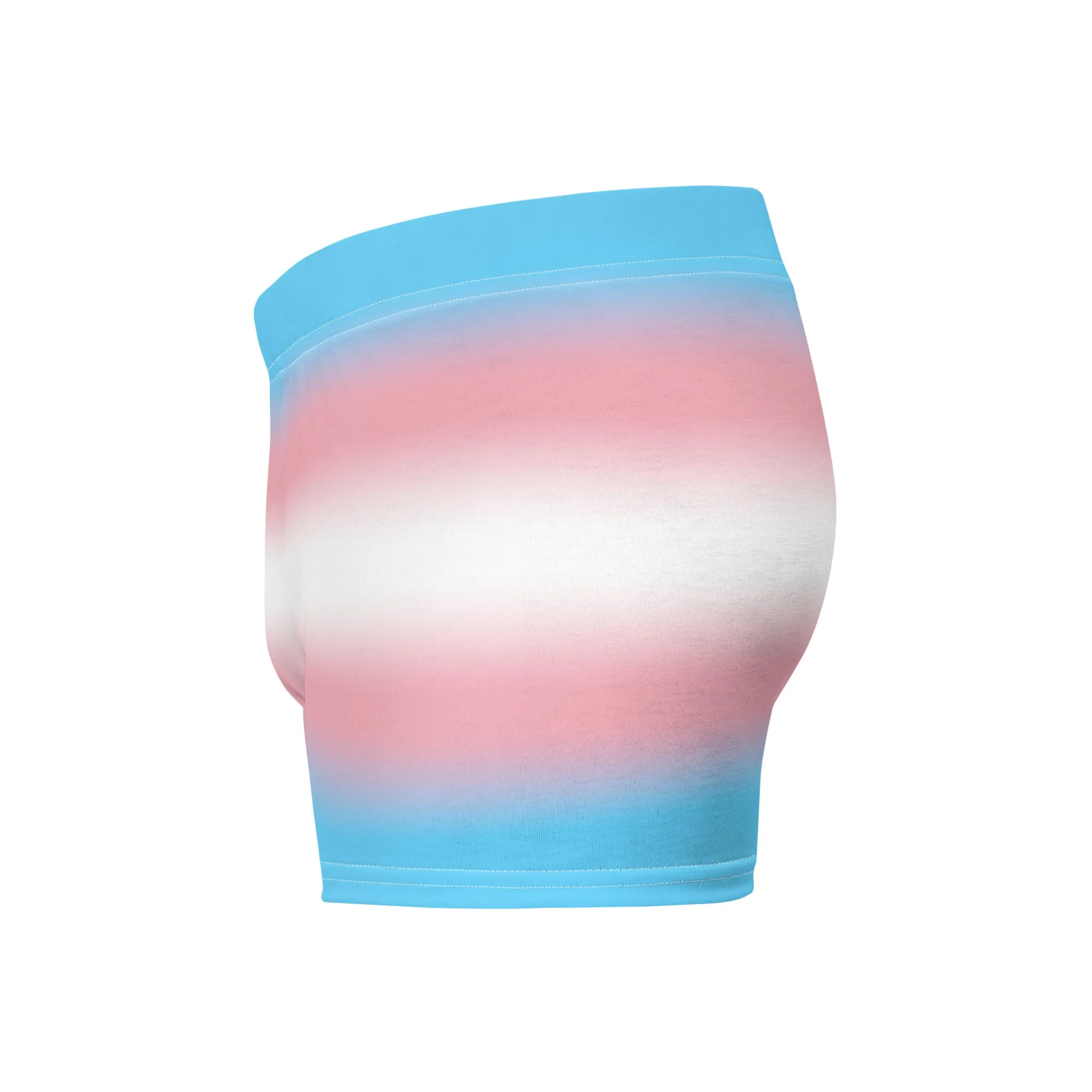 Transgender Trans Pride Boxer Briefs Underwear in Ombre